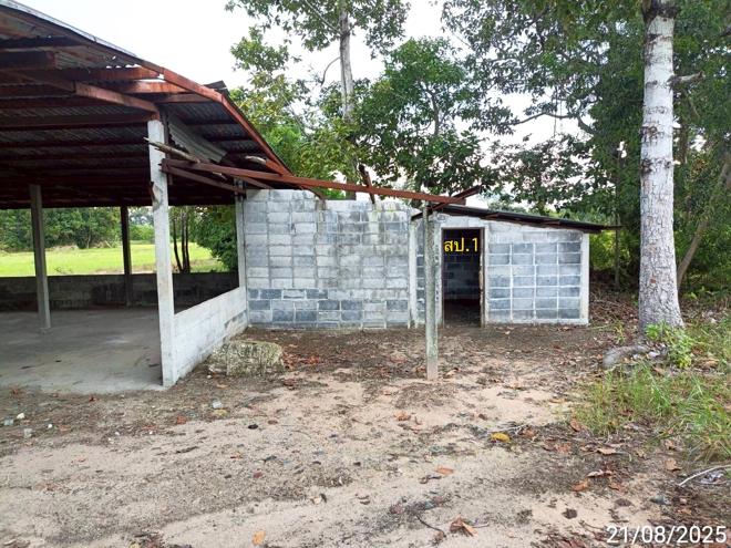 รูป บ้านเดี่ยว 2369 ตร.วา สุวรรณภูมิ ร้อยเอ็ด 1.3M - รูปที่ 1/25