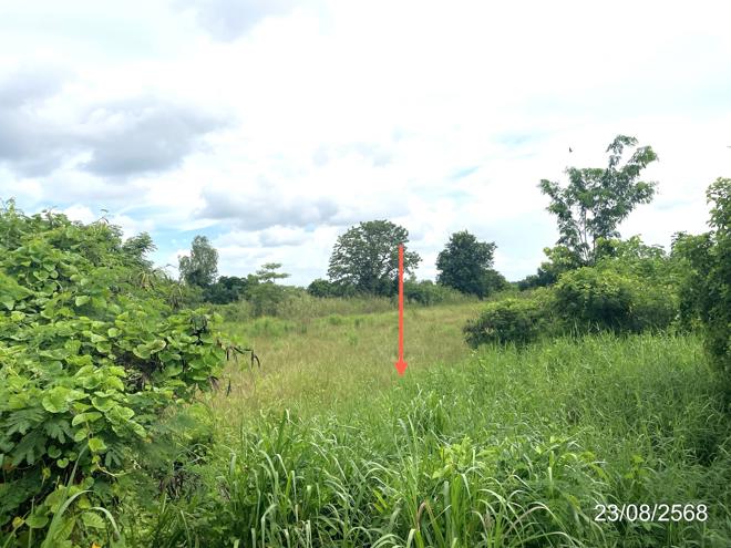 รูป ที่ดินว่างเปล่า 3368 ตร.วา ชนแดน เพชรบูรณ์ 5.1M - รูปที่ 10/25