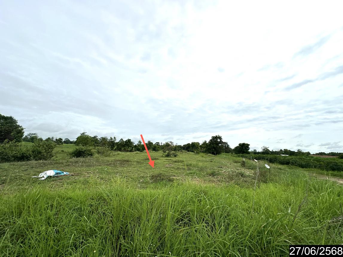 รูป ที่ดินว่างเปล่า 5664 ตร.วา เดชอุดม อุบลราชธานี 6.1M - รูปที่ 14/25