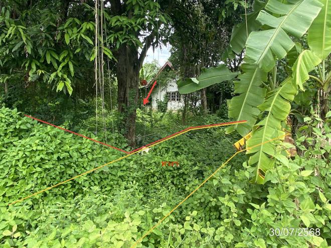 picture LAND 202 Sq.w. Chiang Yun Maha Sarakham for 296,000 - 2/21