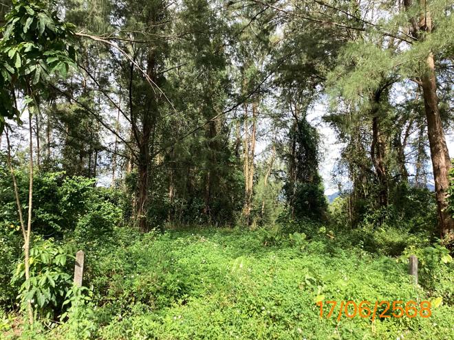 picture LAND 10953.7 Sq.w. Takua Pa Phangnga for 76.7M - 5/13