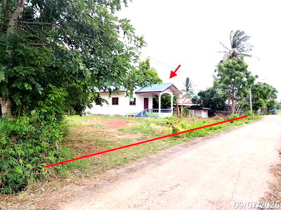 บ้านเดี่ยว ด่านขุนทด โคราช : บ้านเดี่ยว 426 ตร.วา ด่านขุนทด นครราชสีมา 1.2M