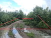 listing thumbnail image 15