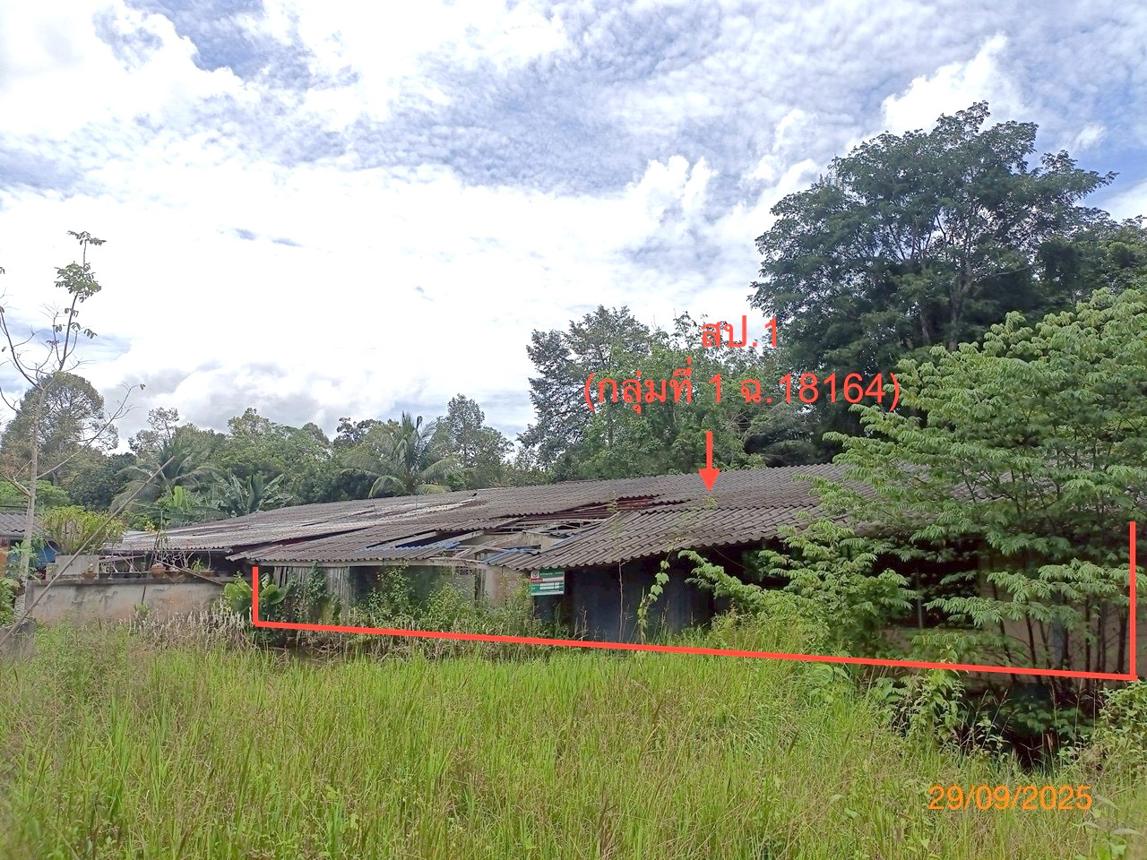 picture FACTORY 1026.6 Sq.w. Muang Trang Trang for 1.7M - 17/35