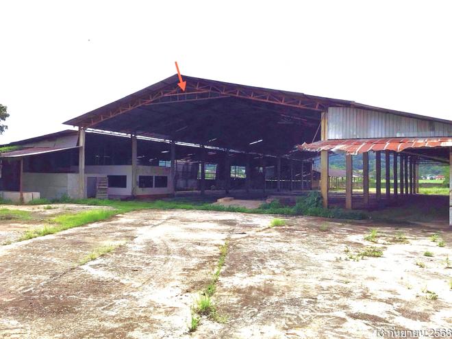 รูป โกดัง 1579 ตร.วา เวียงป่าเป้า เชียงราย 4M - รูปที่ 2/35