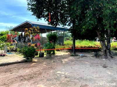 Factory for sale Buntharik Ubon Ratchathani : FACTORY 222 Sq.w. Buntharik Ubon Ratchathani for 1.5M