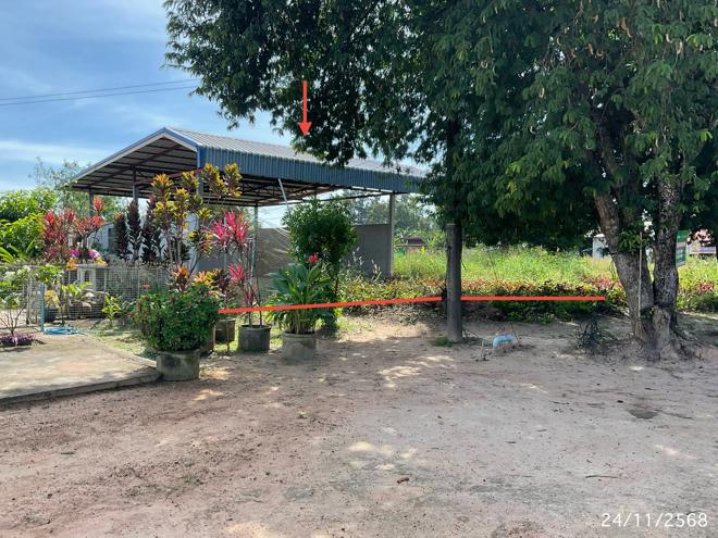 picture FACTORY 222 Sq.w. Buntharik Ubon Ratchathani for 1.5M - 1/23