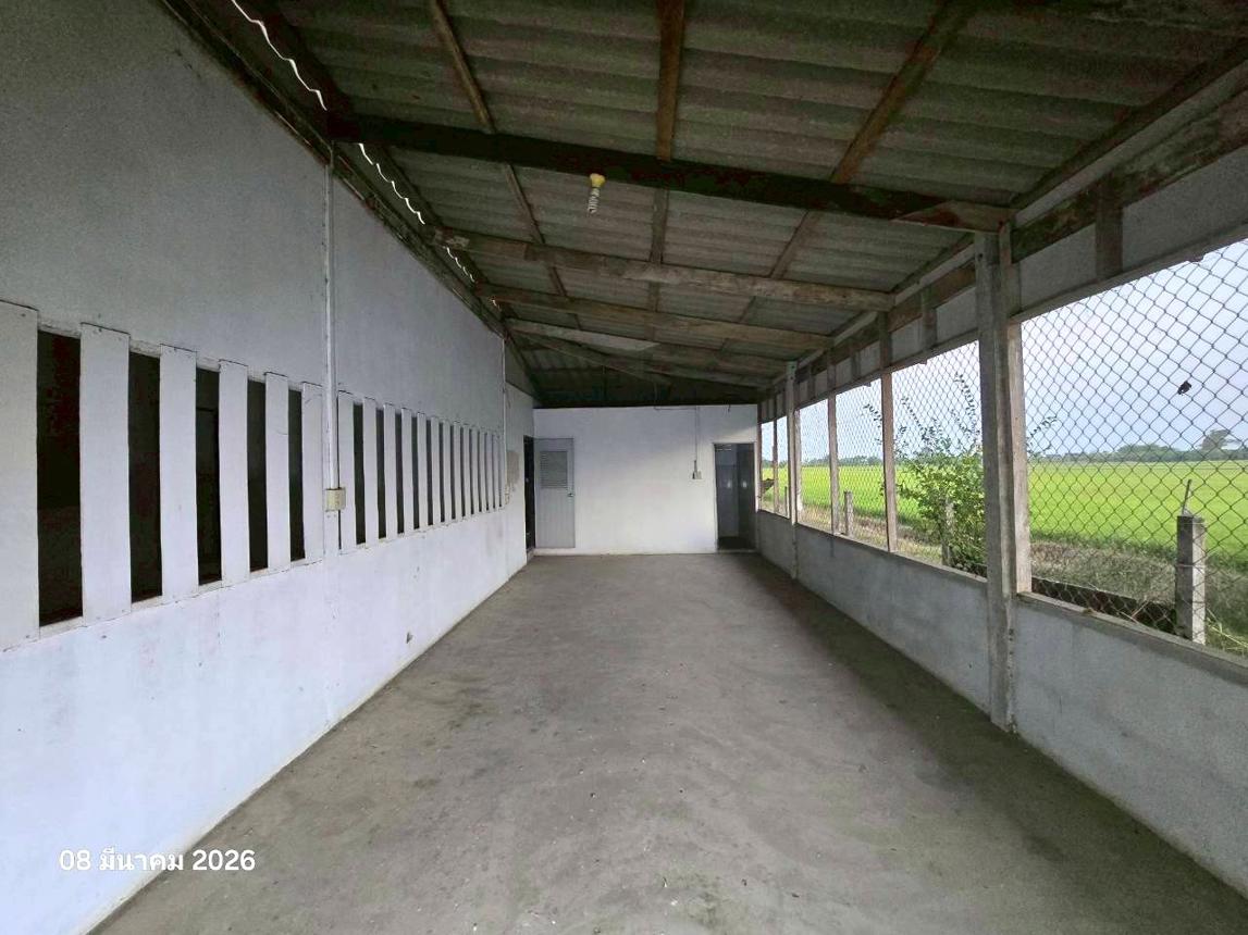 รูป บ้านเดี่ยว 200 ตร.วา บึงสามัคคี กำแพงเพชร 817,000 - รูปที่ 19/29