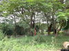 listing thumbnail image 12