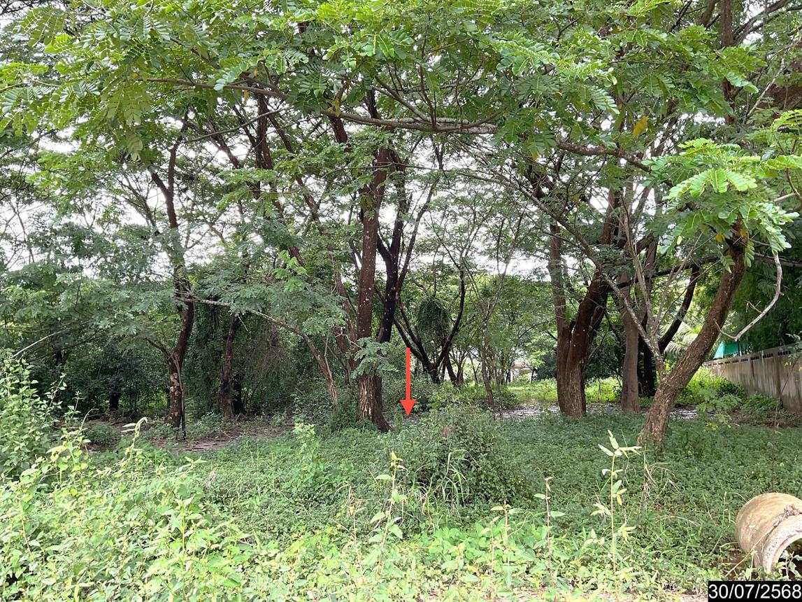 รูป ที่ดินว่างเปล่า 1862.1 ตร.วา เมืองอุดรธานี อุดรธานี 13.4M - รูปที่ 13/19