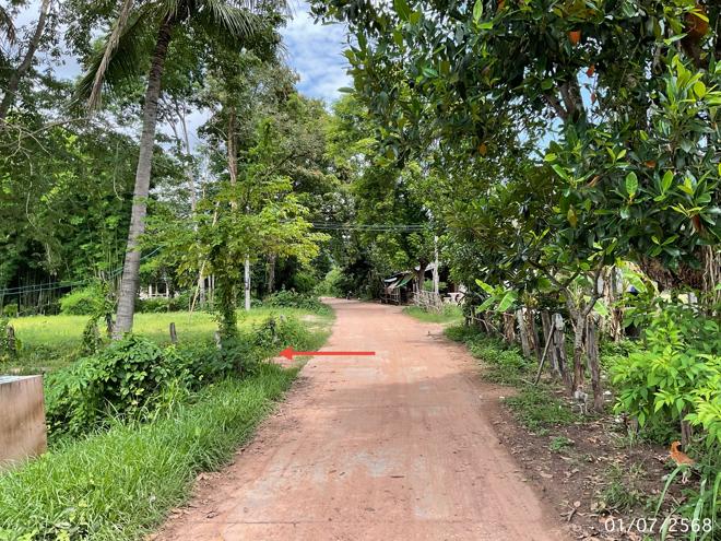 picture LAND 208 Sq.w. Pho Sai Ubon Ratchathani for 142,000 - 8/21