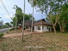 listing thumbnail image 14
