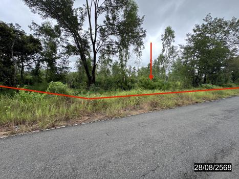 picture LAND 5200 Sq.w. Senangkhanikhom Amnat Charoen for 3.7M - 22/25