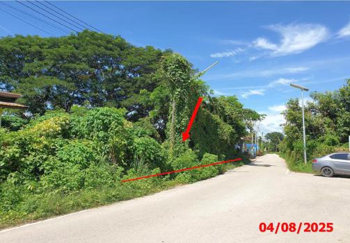 รูป ที่ดินว่างเปล่า 933 ตร.วา ห้างฉัตร ลำปาง 2.2M - รูปที่ 12/15