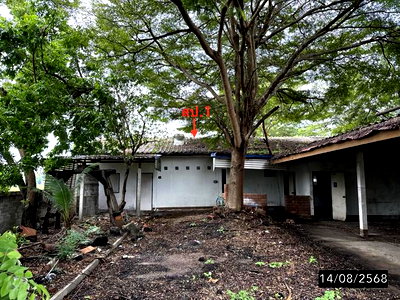 บ้านเดี่ยว บึงหนองโคตร ขอนแก่น : บ้านเดี่ยว 600 ตร.วา เมืองขอนแก่น ขอนแก่น 6.6M