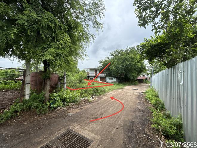 picture LAND 81 Sq.w. Khok Samrong Lopburi for 300,000 - 8/19