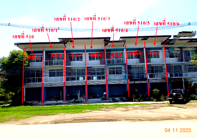 อาคารพาณิชย์ เชียงใหม่ : อาคารพาณิชย์ 276 ตร.วา เชียงดาว เชียงใหม่ 20.6M