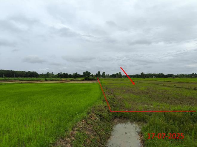 picture LAND 2709 Sq.w. Hang Chat Lamphang for 1.2M - 7/23