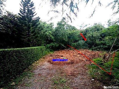 Land for sale Pak Chong Nakhon Ratchasima : LAND 827 Sq.w. Pak Chong Nakhon Ratchasima for 3.5M