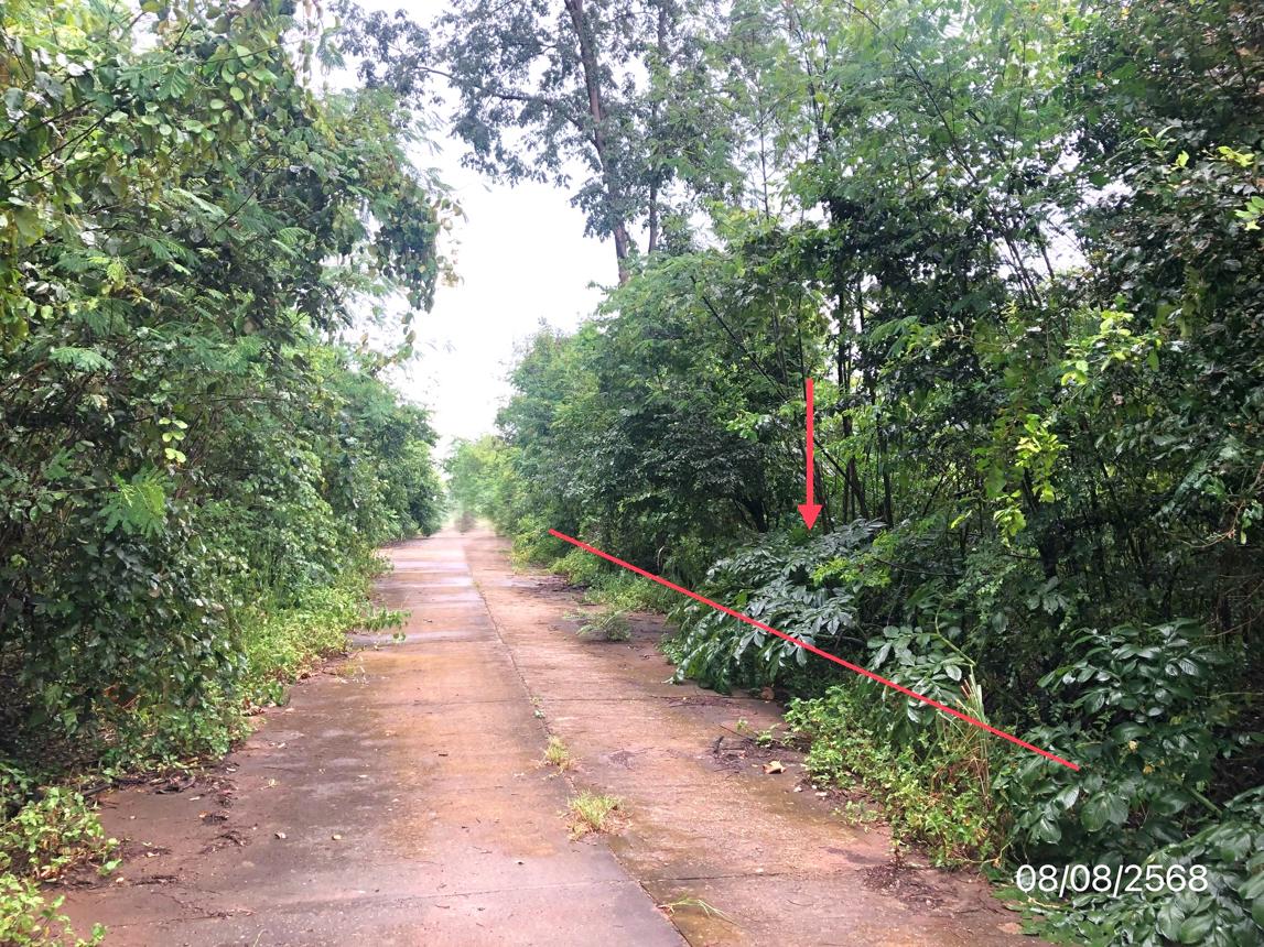 รูป ที่ดินว่างเปล่า 2774 ตร.วา เขาค้อแกรนด์วิลล์ เมืองเพชรบูรณ์ เพชรบูรณ์ 1.6M - รูปที่ 18/35