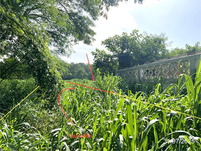 รูป ที่ดินว่างเปล่า 410.4 ตร.วา เมืองกำแพงเพชร กำแพงเพชร 767,000 - รูปที่ 4/13