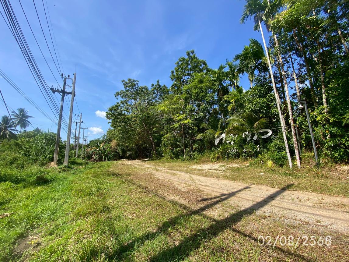 picture LAND 320 Sq.w. Kong Ra Phatthalung for 2M - 13/21