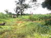 listing thumbnail image 25
