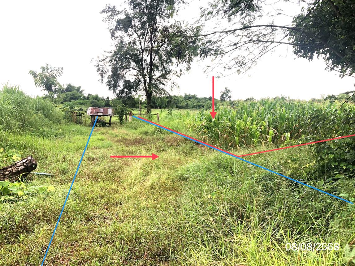 รูป ที่ดินว่างเปล่า 2774 ตร.วา เขาค้อแกรนด์วิลล์ เมืองเพชรบูรณ์ เพชรบูรณ์ 1.6M - รูปที่ 26/35