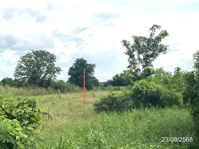 รูป ที่ดินว่างเปล่า 3368 ตร.วา ชนแดน เพชรบูรณ์ 5.1M - รูปที่ 11/25