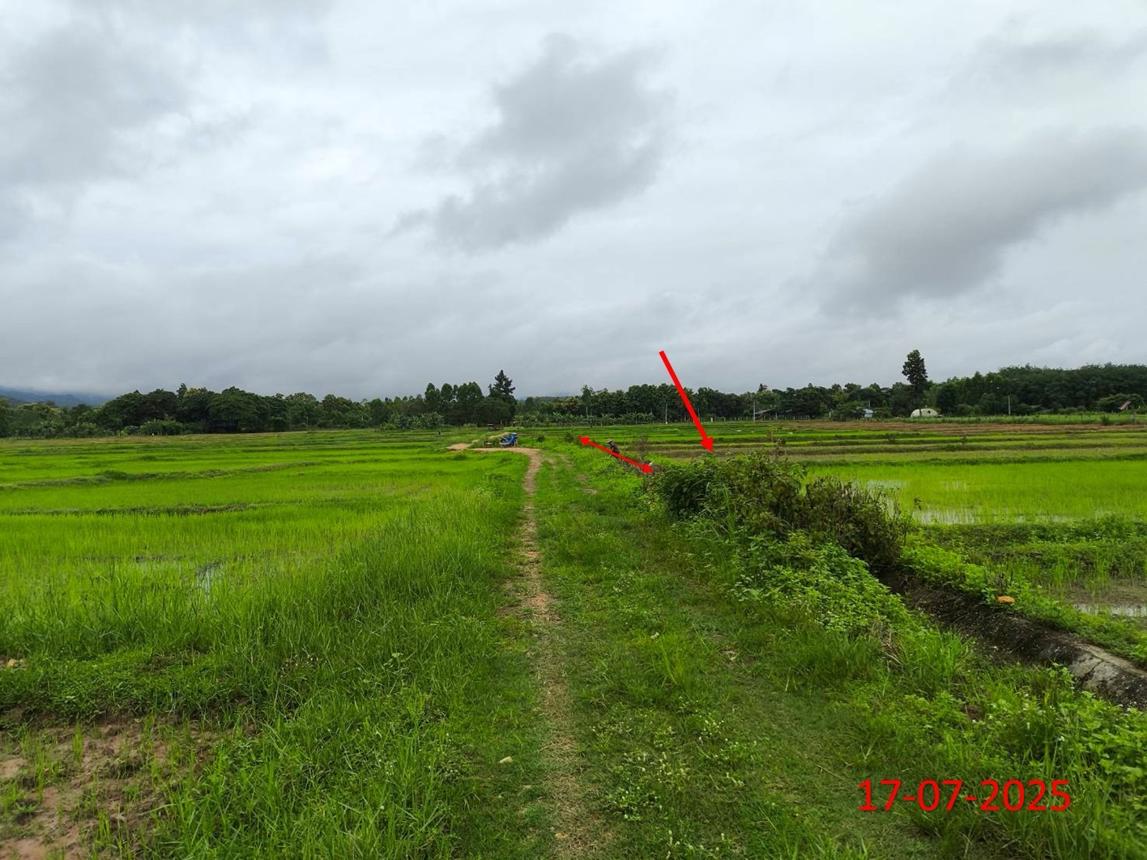 picture LAND 2709 Sq.w. Hang Chat Lamphang for 1.2M - 18/23