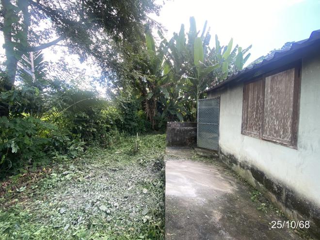 picture HOME 174 Sq.w. Phrao Chiang Mai for 376,000 - 4/31