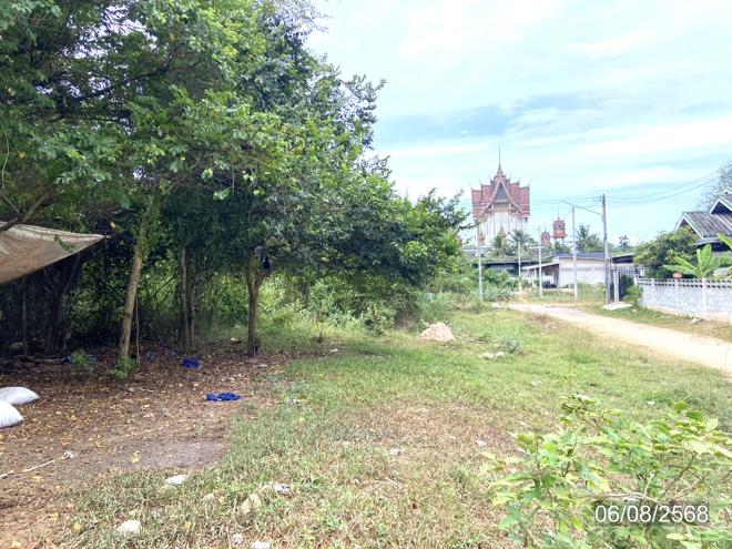 picture LAND 99.8 Sq.w. Hat Yai Songkhla for 593,000 - 6/17