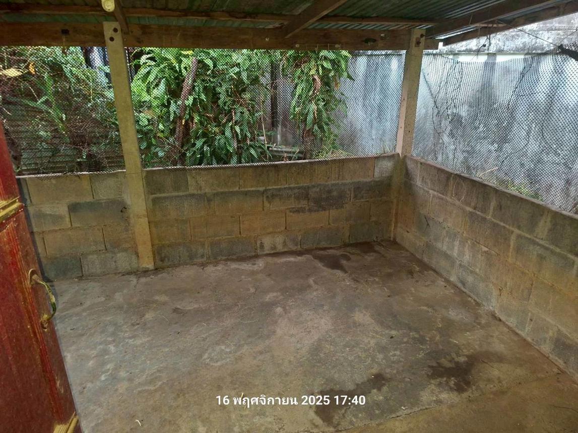 รูป บ้านเดี่ยว 175 ตร.วา หนองไผ่ เพชรบูรณ์ 577,000 - รูปที่ 25/33