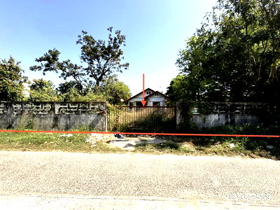 ขายบ้านเดี่ยว : บ้านเดี่ยว 330 ตร.วา เมืองอุบลราชธานี อุบลราชธานี 2.5M