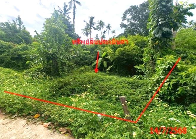 รูป ที่ดินว่างเปล่า 1708 ตร.วา เกาะสมุย สุราษฎร์ธานี 12.7M - รูปที่ 4/17