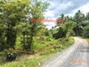 listing thumbnail image 22