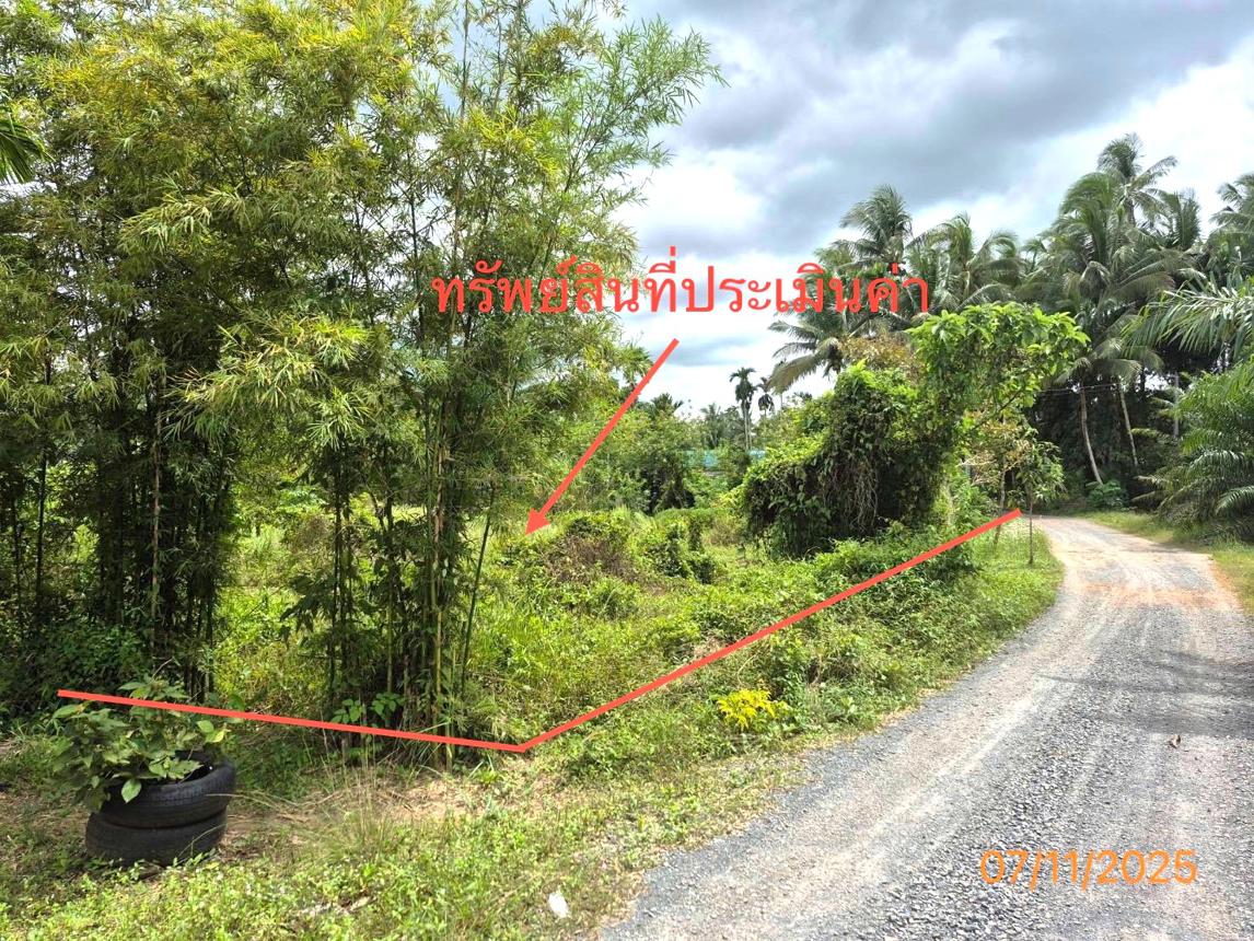 รูป อาคารสำนักงาน 1193.8 ตร.วา ทุ่งสง นครศรีธรรมราช 761,000 - รูปที่ 23/27