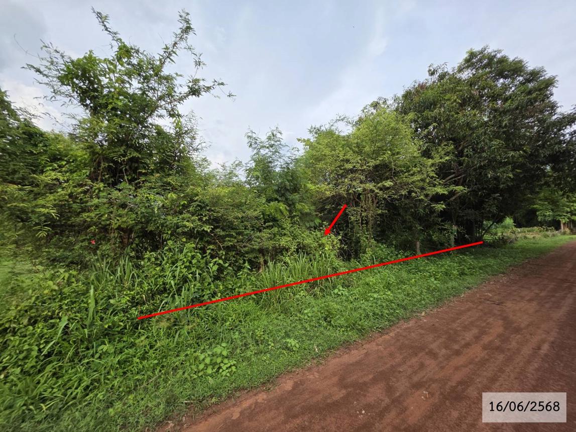 รูป ที่ดินว่างเปล่า 952 ตร.วา วาริชภูมิ สกลนคร 1.3M - รูปที่ 13/25