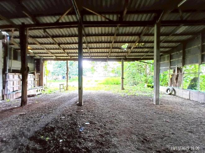 picture SHOP HOUSE 185 Sq.w. Mae Lao Chiang Rai for 4.4M - 21/45