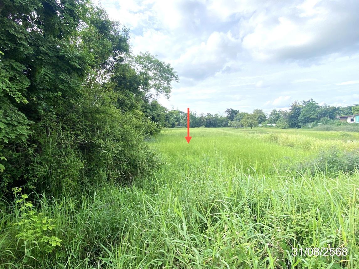picture LAND 791.6 Sq.w. Muang Maha Sarakham Maha Sarakham for 4.9M - 12/17