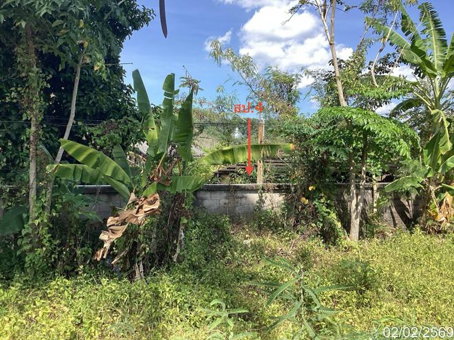 รูป บ้านเดี่ยว 282 ตร.วา สะเดา สงขลา 1.9M - รูปที่ 17/43