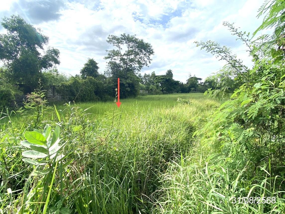 picture LAND 791.6 Sq.w. Muang Maha Sarakham Maha Sarakham for 4.9M - 13/17