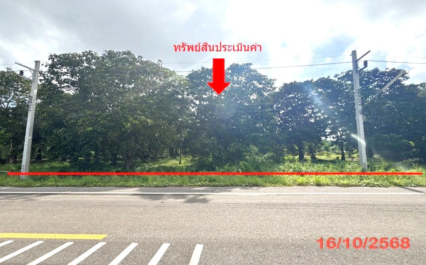 picture LAND 379.5 Sq.w. Muang Surat Thani Surat Thani for 1.7M - 10/21