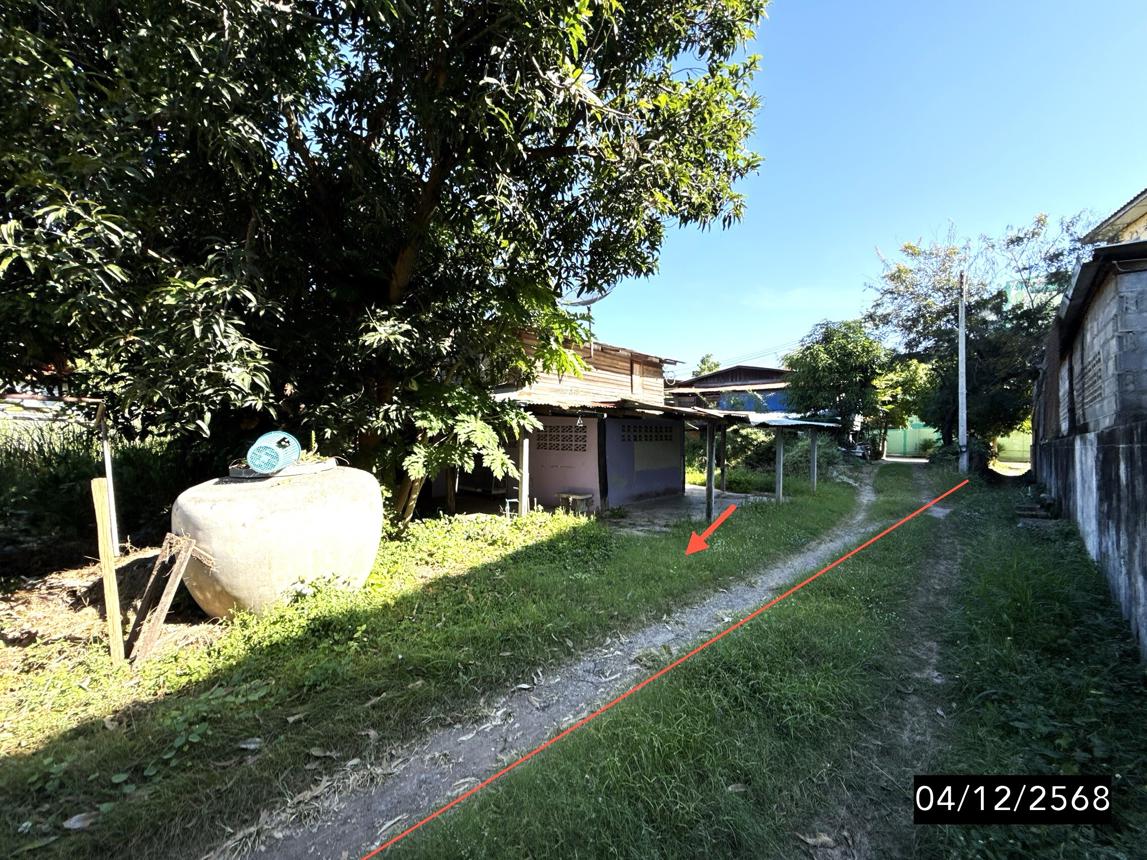 รูป บ้านเดี่ยว 138.6 ตร.วา เมืองชัยภูมิ ชัยภูมิ 1.5M - รูปที่ 33/37