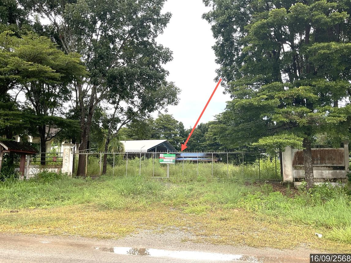 picture HOME 3722 Sq.w. Phaya Mengrai Chiang Rai for 6M - 51/55