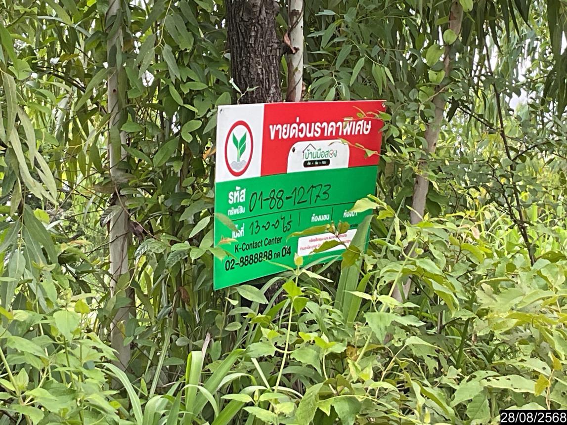 picture LAND 5200 Sq.w. Senangkhanikhom Amnat Charoen for 3.7M - 18/25