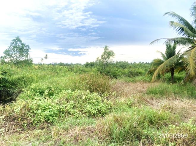 รูป ที่ดินว่างเปล่า 1945.7 ตร.วา เมืองสุราษฎร์ธานี สุราษฎร์ธานี 5.2M - รูปที่ 6/25