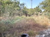 listing thumbnail image 20