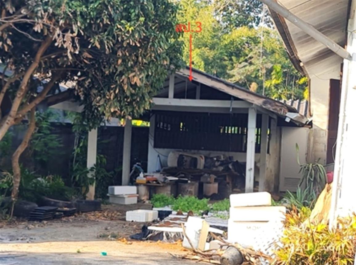 รูป บ้านเดี่ยว 197 ตร.วา แม่ลาว เชียงราย 3.4M - รูปที่ 13/19
