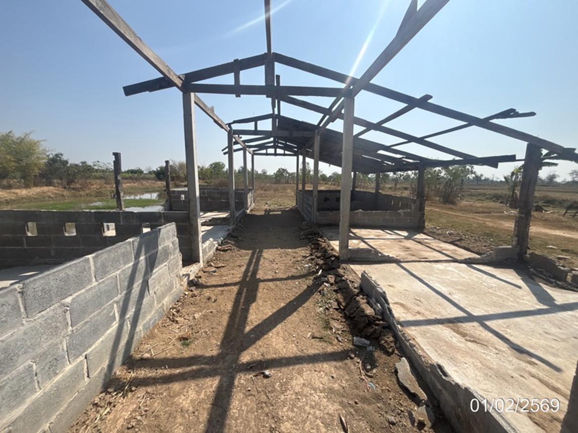 picture LAND 5633 Sq.w. Prang Ku Si Sa Ket for 2.8M - 20/31
